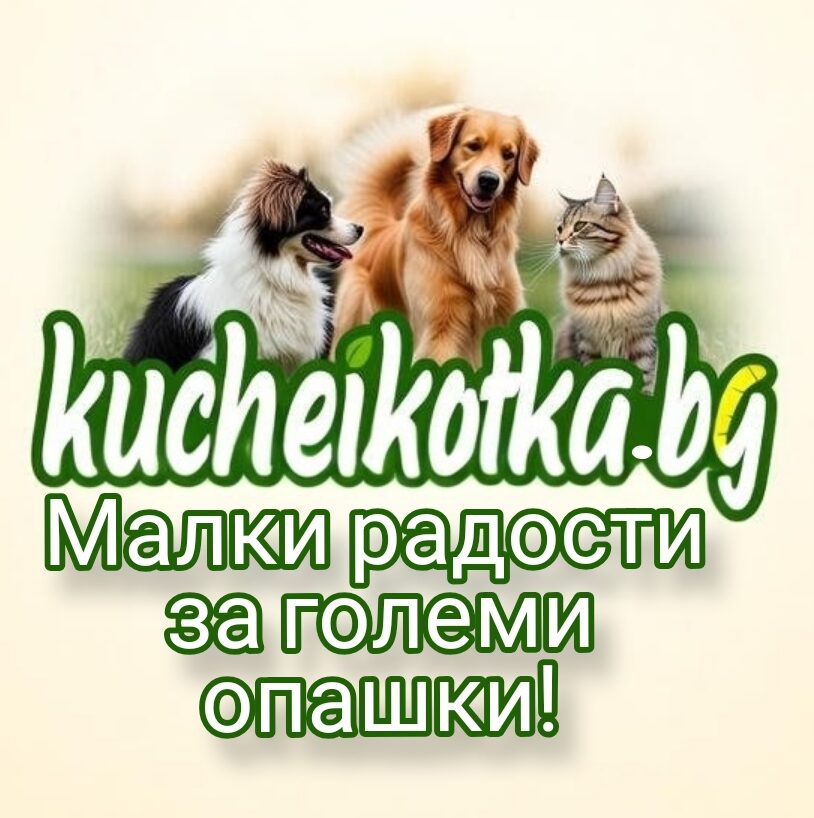 Куче и Kотка