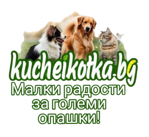 Куче и Kотка