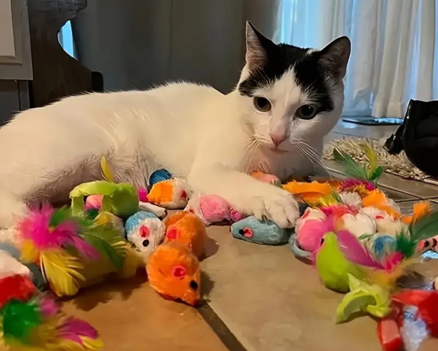 Играчки за котки