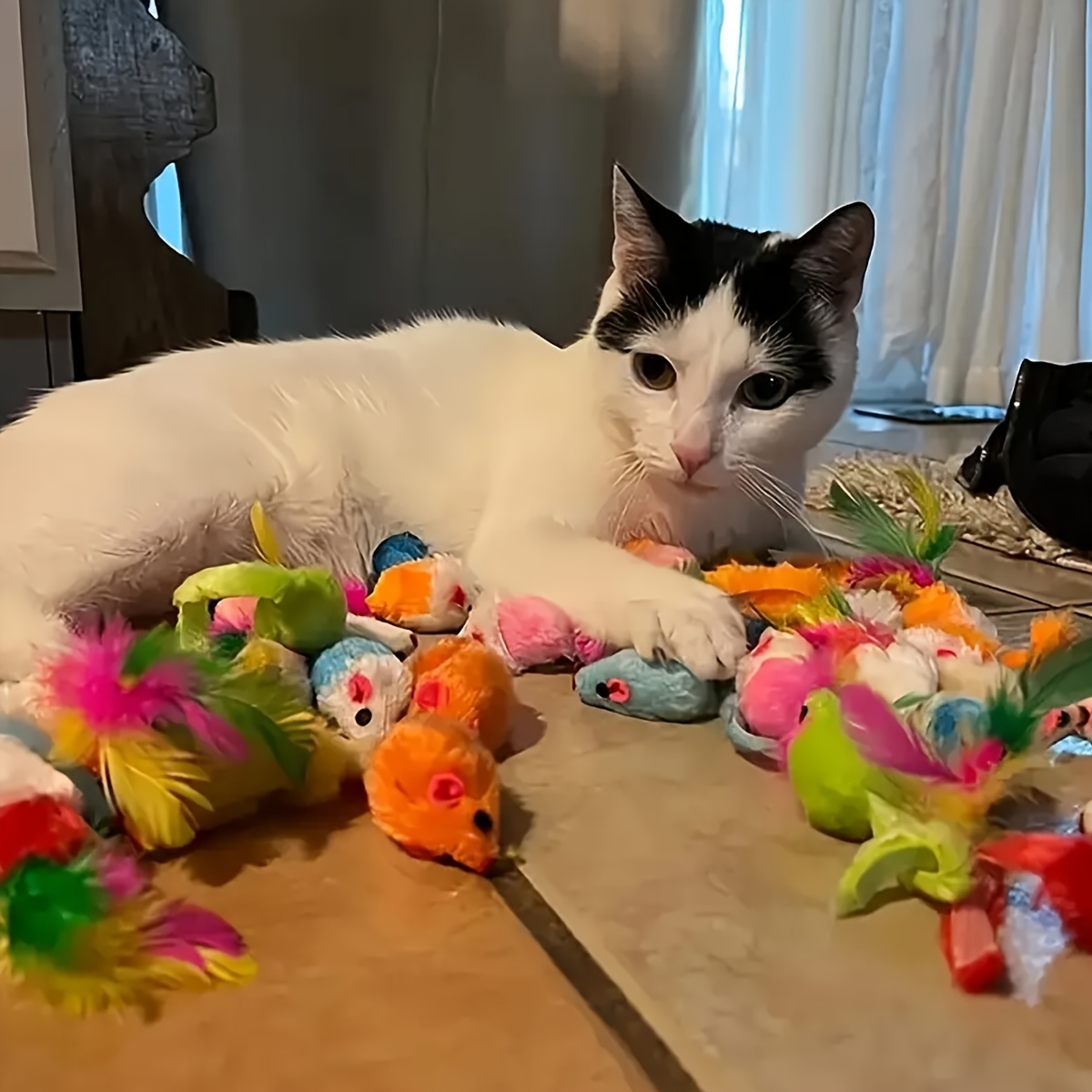 Произволна играчка за котки